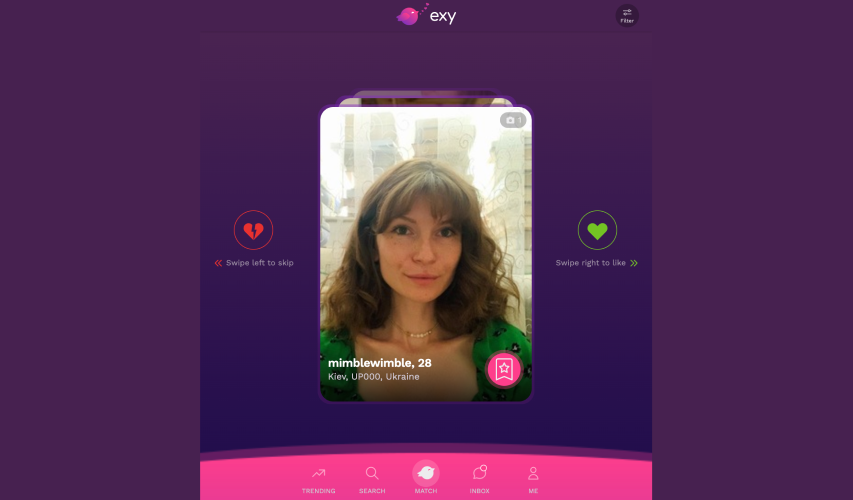 interface design and usability of exy